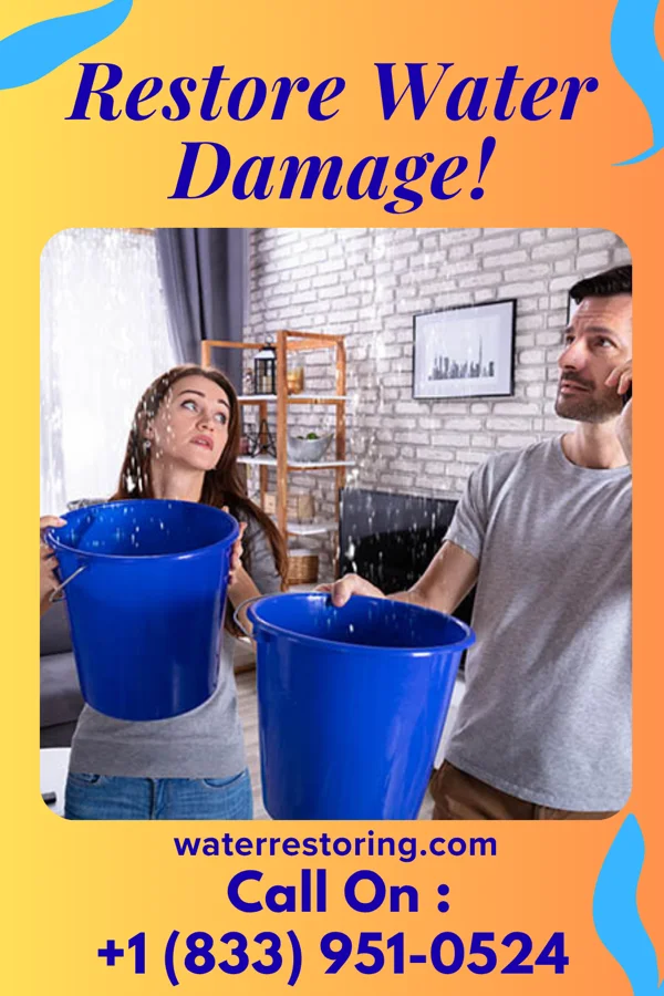 water restoration Ultimate Flood & Sons Dover
