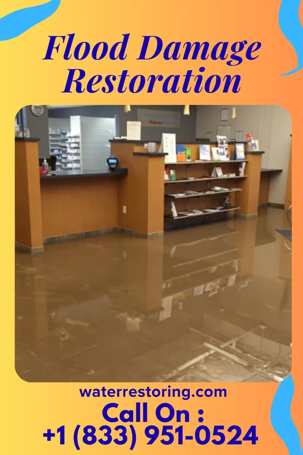 Flood Damage Restoration in Dover, KY