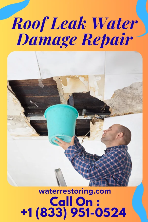 Roof Leak Water Damage Repair in Dover, KY