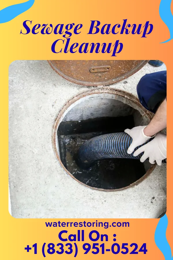 Sewage Backup Cleanup in Dover, KY
