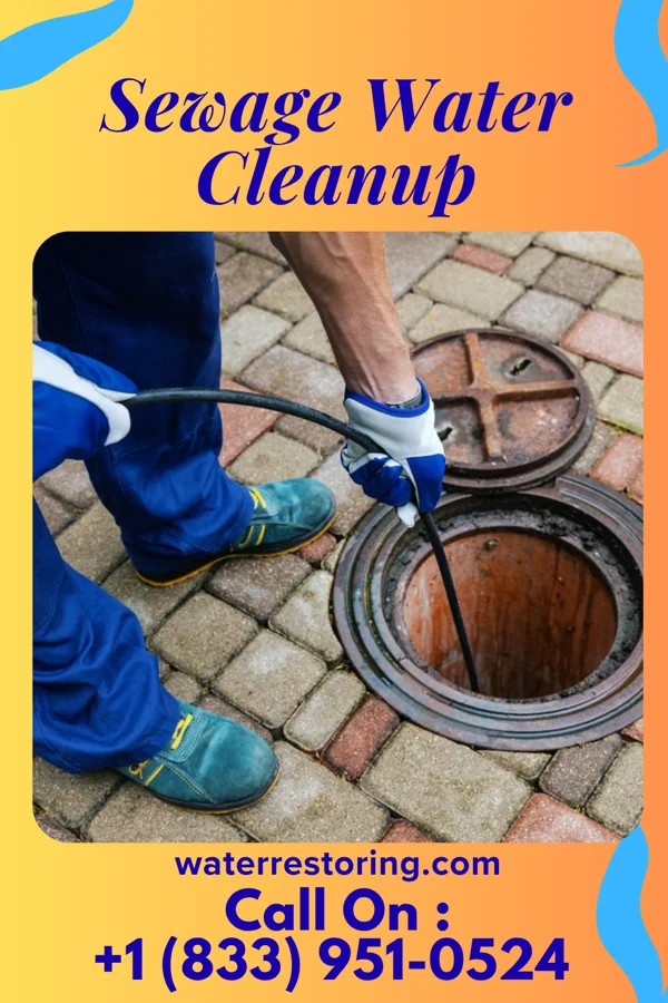Sewage Water Cleanup in Dover, KY