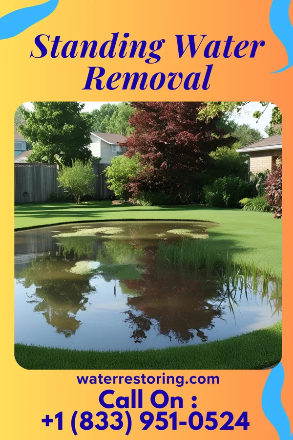 Standing Water Removal in Dover, KY